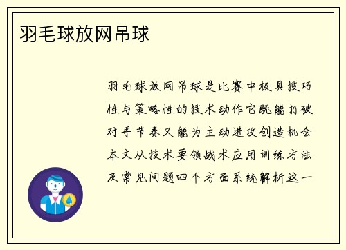 羽毛球放网吊球