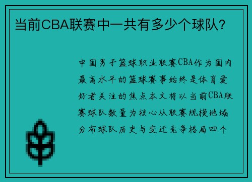 当前CBA联赛中一共有多少个球队？